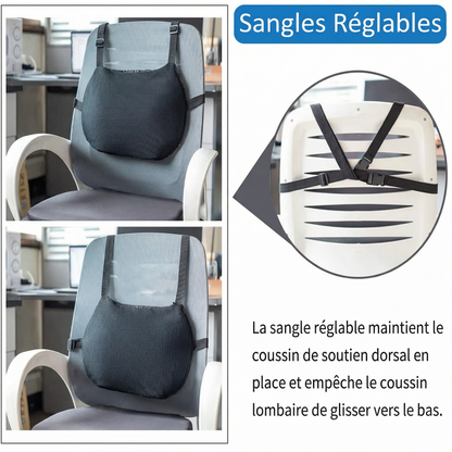 Apazia™ - The Lumbar Cushion That Soothes Your Back